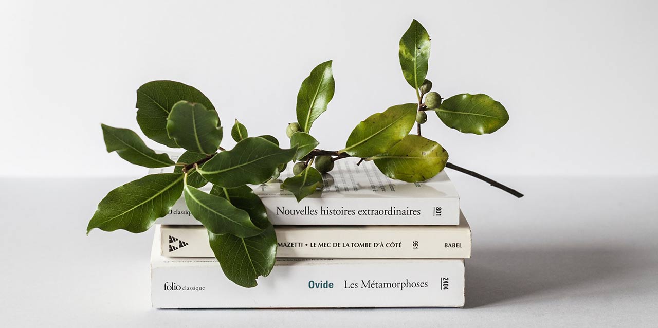 ramo de oliveira sobre livros