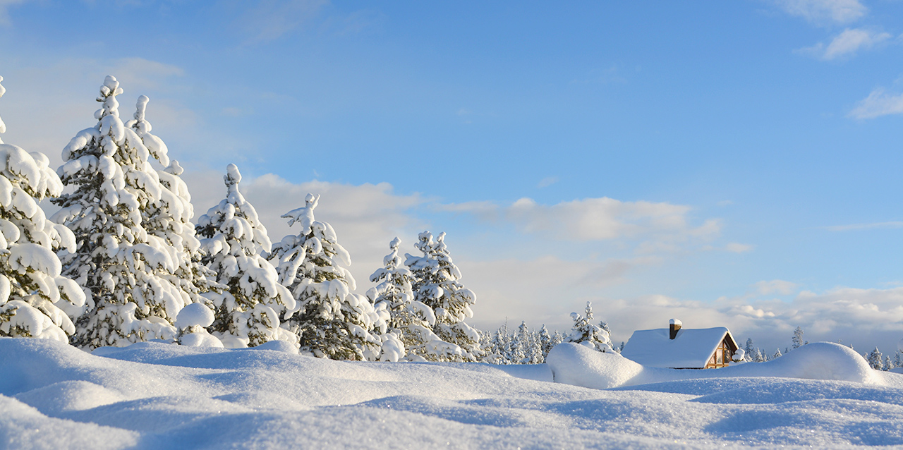neve na tundra