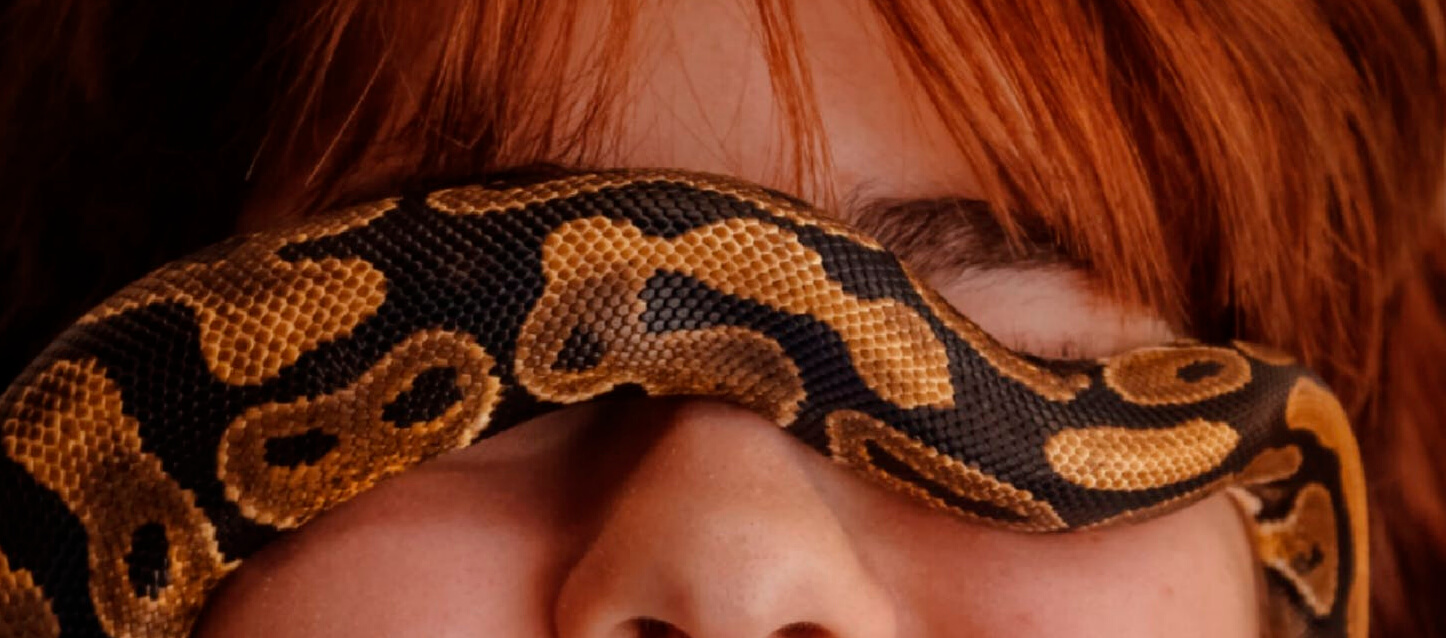 onhar com serpentes