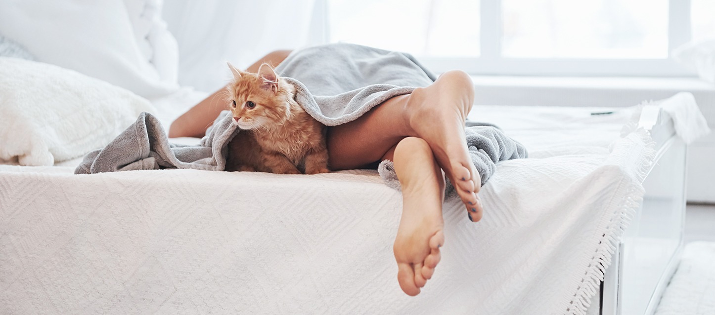 rapariga a dormir de barriga para baixo na cama, coberta com uma manta fina de cor cinza, e um gato alaranjado a aparecer à altura dos pés