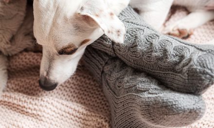 Como evitar os pés frios na cama: 7 truques para se aquecer