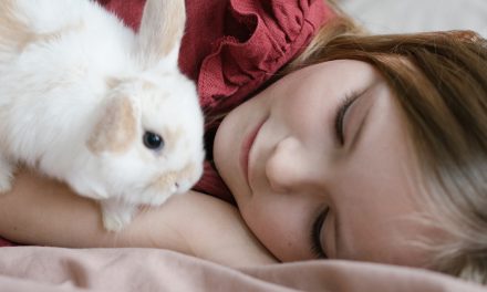 Como dormem os coelhos